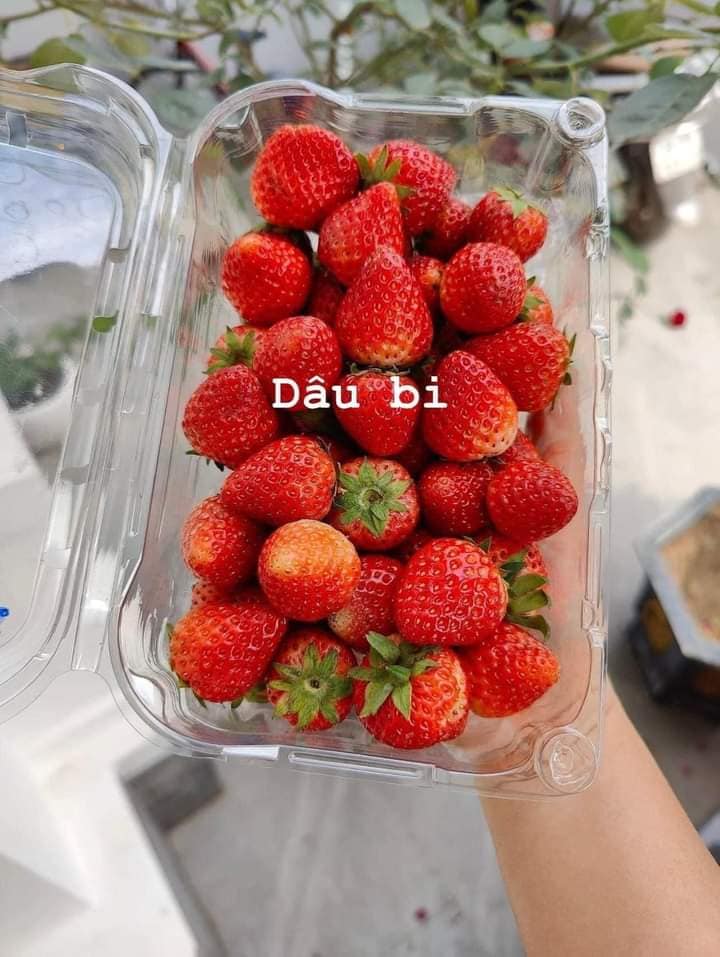 [🆕🇻🇳] Hiền Vinh Hvkids  (Xưởng may HV Kids) 😎❤️️⭐️ BÁNH MOCHI HAI CÔ GÁIe về sẵn hàng 

Giá:  #115k/1thùng 2kg
BÁNH MOCHI ĐÀI LOAN HOT HIT TRONG “VỀ NHÀ ĐI CON”  (LOẠI X , shares-0✔️ , likes-2❤️️ , date-2024-01-20 14:32:54🇻🇳🇻🇳🇻🇳📰🆕