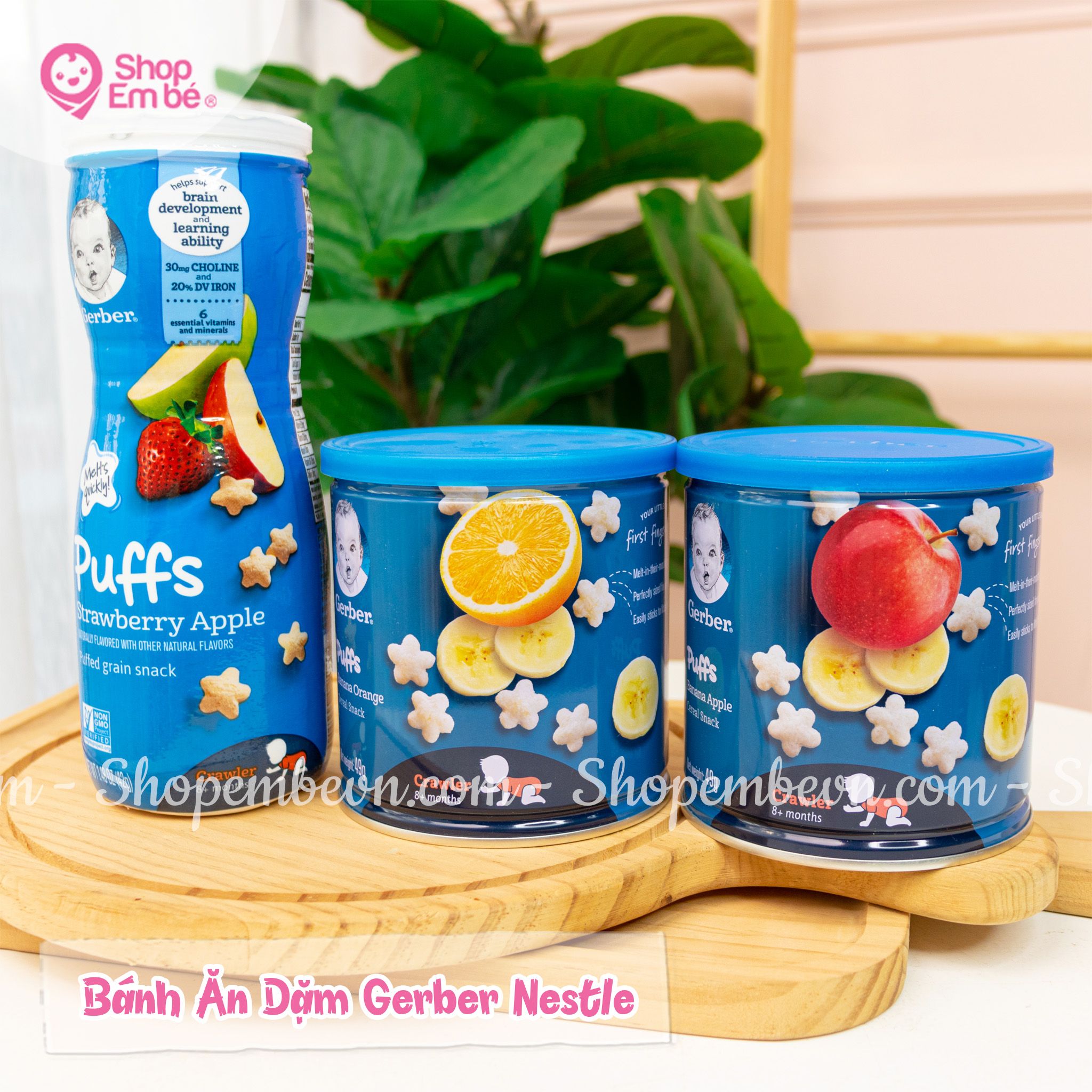 [🆕🇻🇳]  SHOP EM BÉ 🧑‍🧒❤️️👶⭐️ Bánh Gerber cô Tuyến về đủ vị rồi nè 
 Bánh thơm ngon, giòn rụm
 Tự tan trong miệng
 Hình ngôi sao đáng yêu 
 Nhỏ nhắn, dễ cầm
 Nguyên liệu từ ngũ cốc, trá , shares-0✔️ , likes-0❤️️ , date-2024-07-01 15:28:12🇻🇳🇻🇳🇻🇳📰🆕