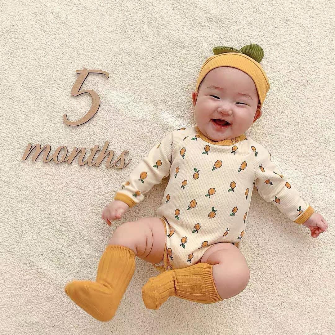 [🆕🇻🇳] HAPPY HIPPO – chuyên đồ trẻ em – Lullaby vnxk 😎❤️️⭐️  𝗕𝗼𝗱𝘆 𝗰𝗵𝗮𝗻𝗵 𝗸𝗲̀𝗺 𝗺𝘂̃ 𝗰𝗵𝗼 𝗯𝗲́     Bodysuit dài tay liền thân cài vai, chất thun gân dày dặn, co giãn, mềm phù hợp trời thu & đông
 Set gồm: body suit, m , shares-0✔️ , likes-1❤️️ , date-2022-01-22 19:01:14🇻🇳🇻🇳🇻🇳📰🆕