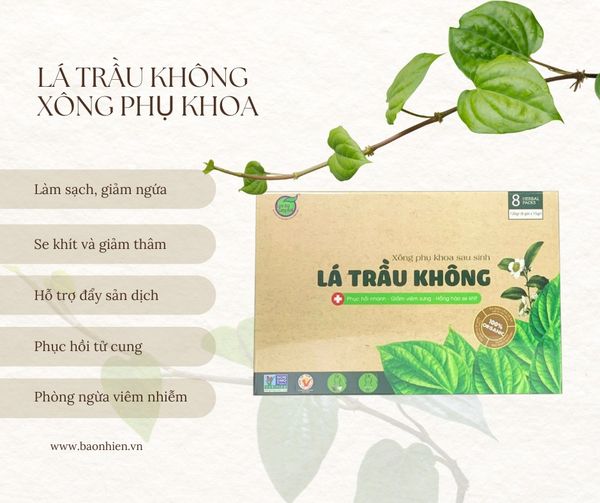 [🆕🇻🇳] Shop bé Moon – Nhà phân phối Nous Miền Bắc 😎❤️️⭐️ Chăm sóc mẹ bầu sau sinh với lá trầu không – Bí quyết dân gian, hiệu quả hiện đại!

Các mẹ bầu sau sinh luôn cần được chăm sóc đặc biệt để phục hồi sức khỏ , shares-0✔️ , likes-2❤️️ , date-2024-07-05 01:00:26🇻🇳🇻🇳🇻🇳📰🆕
