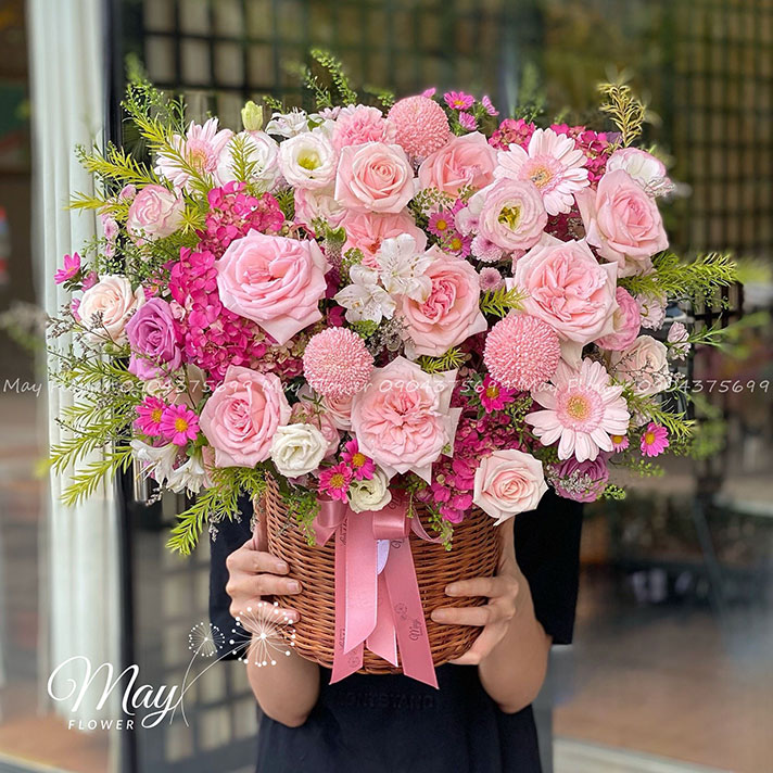[🛒🇻🇳]Giai Điệu Trái Tim – , SKU – – mayflower.vn 🇻🇳🛒Top1Shop🛒 🇻🇳Top1Vietnam🇻🇳 🛍🛒🇻🇳