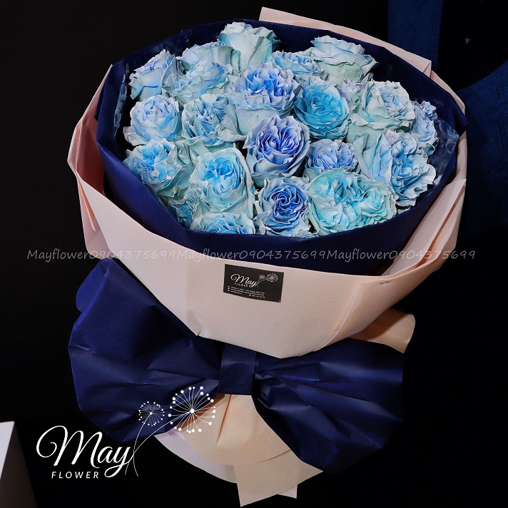 [🛒🇻🇳]Điều Em Muốn – , SKU – – mayflower.vn 🇻🇳🛒Top1Shop🛒 🇻🇳Top1Vietnam🇻🇳 🛍🛒🇻🇳