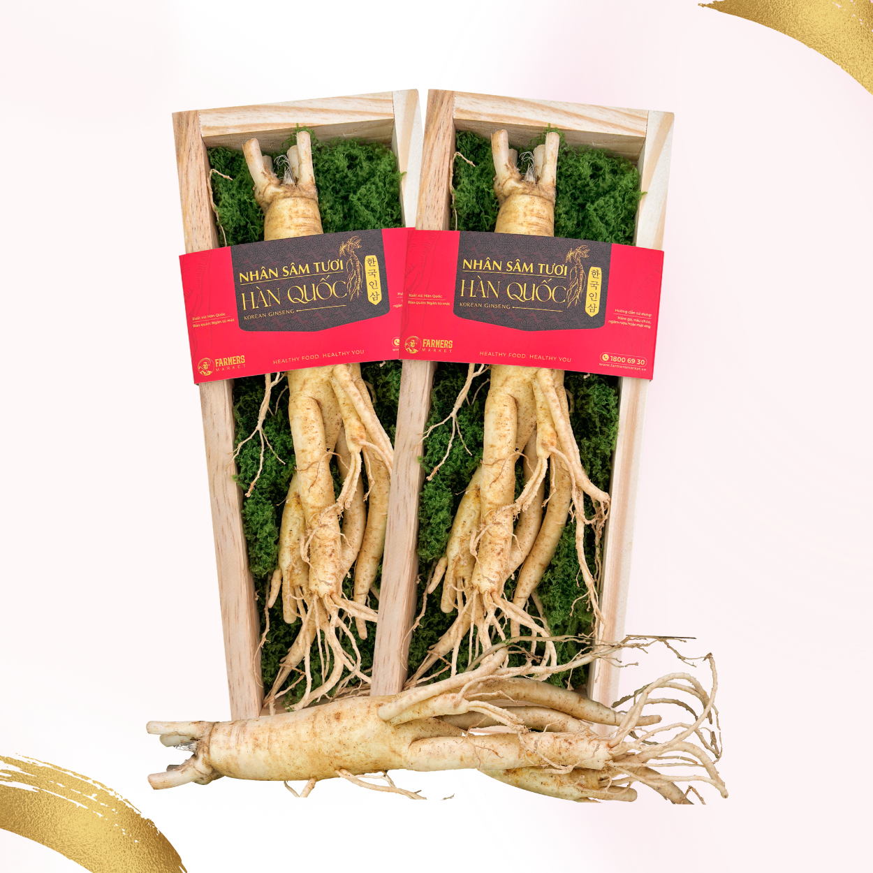 [🛒🇻🇳]Hộp quà Nhân sâm Hàn Quốc 6 năm tuổi loại 135-155g (1củ) | I0016599 - Farmers Market , SKU - - farmersmarket.vn 🇻🇳🛒Top1Shop🛒 🇻🇳Top1Vietnam🇻🇳 🛍🛒🇻🇳