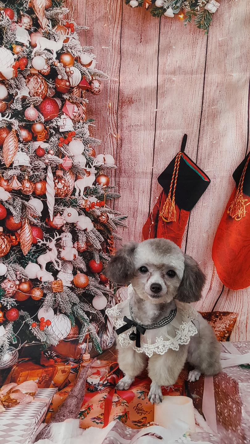 [🆕🇻🇳] Jinstore – Cửa hàng mẹ và bé 🧑‍🧒❤️️👶⭐️ Áo khoác nous mềm mại, dày dặn dành cho bé 
Màu hồng nè ..xinh quá
 , shares-0✔️ , likes-1❤️️ , date-2025-10-23 18:43:52🇻🇳🇻🇳🇻🇳📰🆕