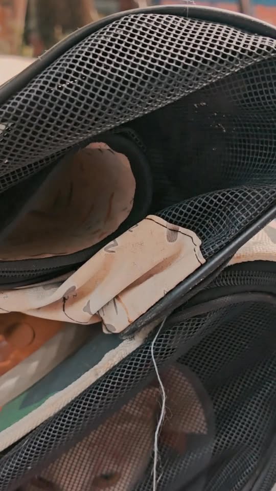 [🆕🇻🇳] Mẹ và Bé Lào Cai – Bống Xinh 135 Quy Hoá 🧑‍🧒❤️️👶⭐️ LƯU Ý CHO BÉ IU NGÀY GIAO MÙA NHA BA MẸ
#bongxinh135
#ThoiTrangTreEm #ThoiTrangChoBeYeu #ShopBongXinh #135QuyHoa #HangQuangChauChoBe #DoDepChoBe #DoTreEmQu , shares-0✔️ , likes-1❤️️ , date-2025-10-23 14:30:22🇻🇳🇻🇳🇻🇳📰🆕