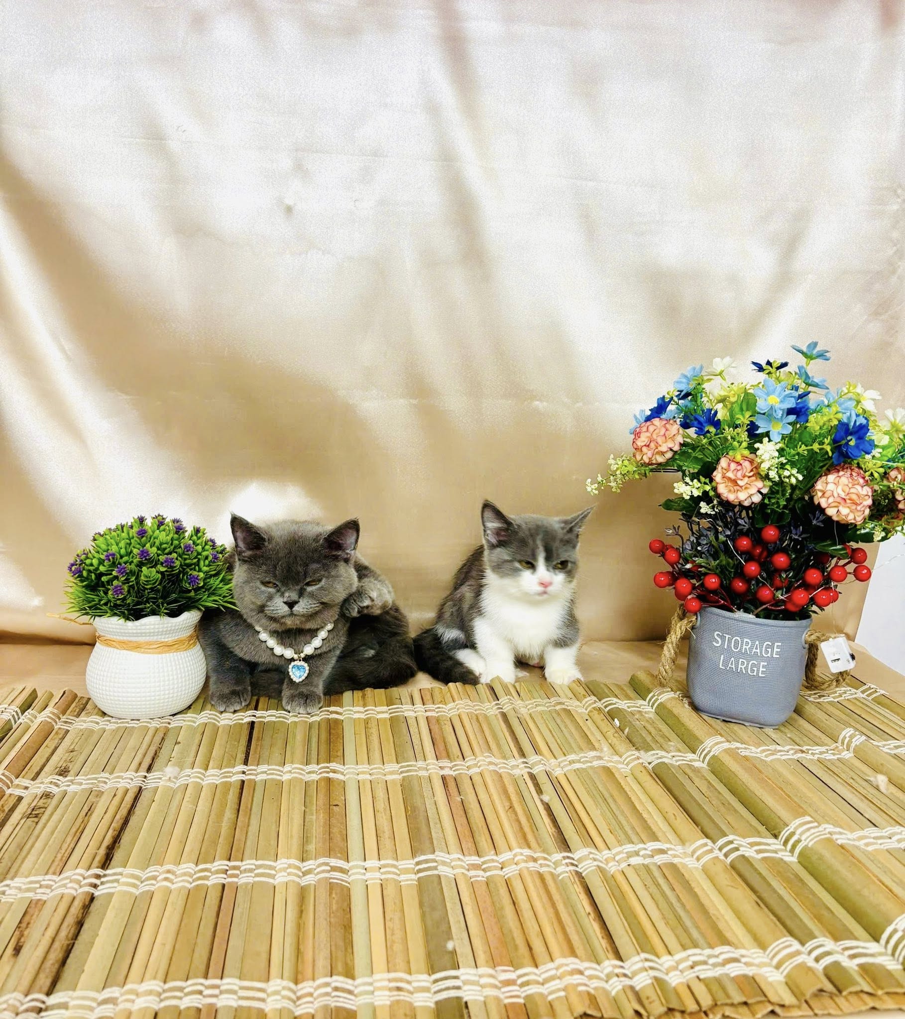 [🆕🇻🇳] Cục Bột Nhỏ – Shop Mẹ & Bé 🧑‍🧒❤️️👶⭐️ Em bé nói mẹ làm bánh hình tròn hoài, con muốn nhiều con động vật cơ.
Mẹ làm được vậy nha con, ý kiến nhiều ghê , shares-0✔️ , likes-2❤️️ , date-2025-10-22 01:20:45🇻🇳🇻🇳🇻🇳📰🆕