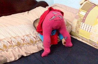 [🆕🇻🇳] Top1StarKids ⭐ ☀ ⚡ Sau 10 năm Con chăm chỉ ép dẻo chân dài lắm
Sau 10 năm Con chăm chỉ ép dẻo chân dài lắm
, shares-0✔️ , likes-3❤️️ , date-2023-03-25 14:43:35🇻🇳🇻🇳🇻🇳📰🆕