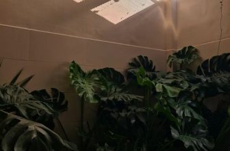 [☕️🇻🇳] 15.22 café – wine – live music ☕️ Top1Coffee ☕️ Luôn bừng sáng sau một cơn mưa
Sẽ đẹp hơn nếu có thêm cầu vồng.
#1522cafe #cafe #coffeeholic #saigon, shares-0✔️ , likes-9❤️️ , date-2023-05-21 06:30:03🇻🇳🇻🇳🇻🇳📰🆕