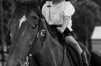 [🆕🇻🇳] Top1StarKids ⭐ ☀ ⚡#Production_MT_GROUP
#Model_kids_PRO
#Mẫu_Nhí_Thỏ_BảoNgoc
#Chỉ_đạo_thực_hiện_Mẹ_Thiên_Nga
#Stylist_Cô_Bích_Phương
#Location_Ng… , shares-0✔️ , likes-0❤️️ , date-2023-06-15 12:42:11🇻🇳🇻🇳🇻🇳📰🆕