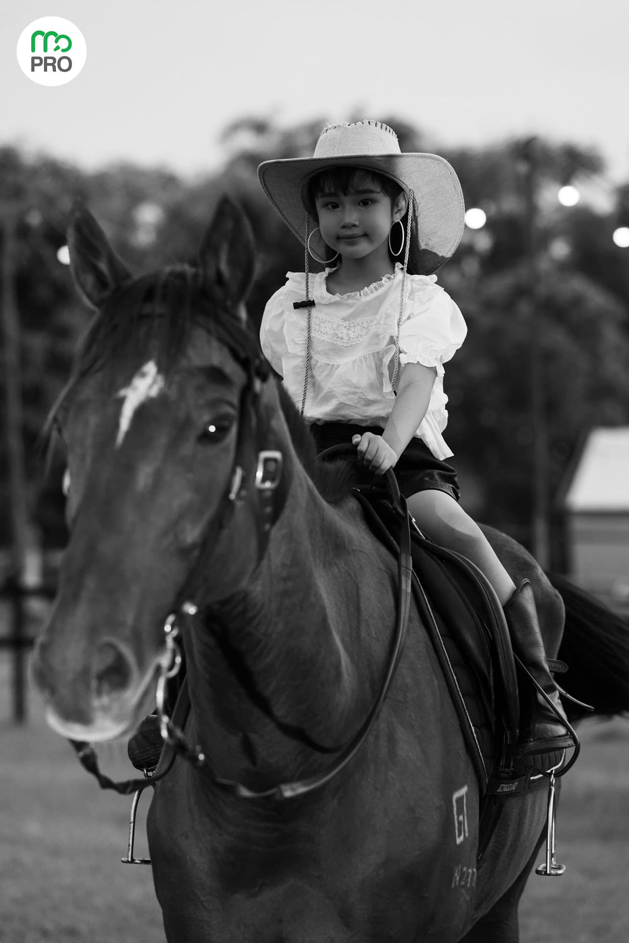 [🆕🇻🇳] Top1StarKids ⭐ ☀ ⚡#Production_MT_GROUP
#Model_kids_PRO
#Mẫu_Nhí_Thỏ_BảoNgoc
#Chỉ_đạo_thực_hiện_Mẹ_Thiên_Nga
#Stylist_Cô_Bích_Phương
#Location_Ng… , shares-0✔️ , likes-0❤️️ , date-2023-06-15 12:42:11🇻🇳🇻🇳🇻🇳📰🆕