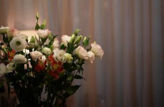 [☕️🇻🇳] 15.22 café – wine – live music ☕️ Top1Coffee ☕️ Cát tường @15.22cafe, shares-0✔️ , likes-4❤️️ , date-2023-03-07 03:19:45🇻🇳🇻🇳🇻🇳📰🆕