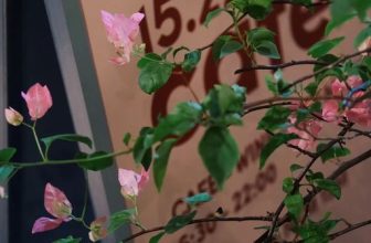 [☕️🇻🇳] 15.22 café – wine – live music ☕️ Top1Coffee ☕️ Hè về sớm tại @15.22cafe  @mokuin, shares-0✔️ , likes-2❤️️ , date-2023-03-28 10:27:44🇻🇳🇻🇳🇻🇳📰🆕