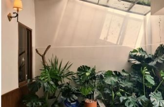 [☕️🇻🇳] 15.22 café – wine – live music ☕️ Top1Coffee ☕️ Khu vực ngoài thật nhiều cây xanh, shares-0✔️ , likes-6❤️️ , date-2023-04-07 02:25:20🇻🇳🇻🇳🇻🇳📰🆕