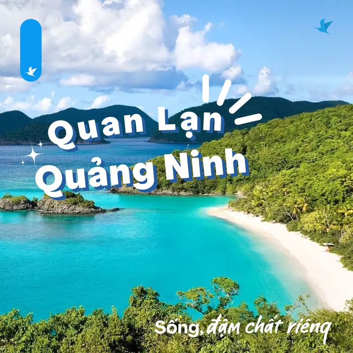 [✈🇻🇳] Traveloka Vietnam – Sống Trải Nghiệm ✈ Top1Travel 🌏 – #KhámPháĐậmChấtRiêng Muốn đi biển mà sợ đông đúc thì hè này đến đây th …