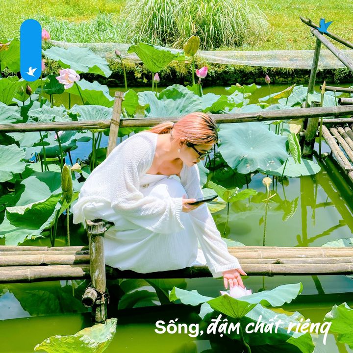 [✈🇻🇳] Traveloka Vietnam – Sống Trải Nghiệm ✈ Top1Travel 🌏 – #KhámPháĐậmChấtRiêng  Đi săn mây ở Mai Châu giữa mùa hè có gì đặc biệt  …