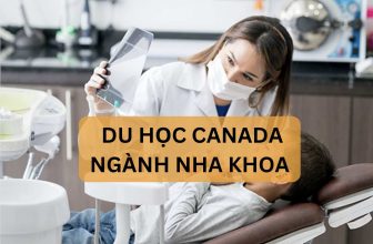 [👨‍🎓🏫🇻🇳] Du học Canada ngành Nha khoa và những điều bạn không nên bỏ lỡ  – CÔNG TY DU HỌC LIP VIỆT NAM