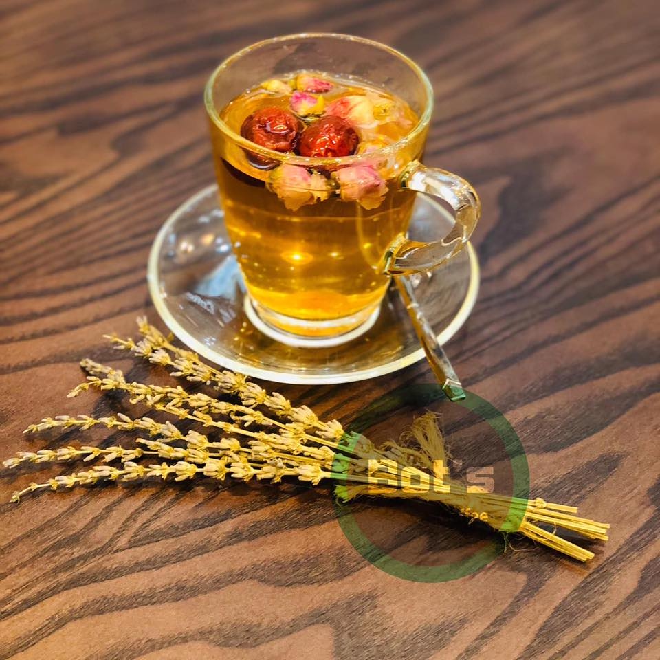 [🆕🇻🇳] Bot’s Coffee