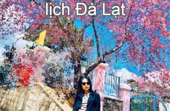 [🌏🇻🇳] Kinh nghiệm du lịch Đà Lạt lần đầu 2023 chi tiết như dân bản địa