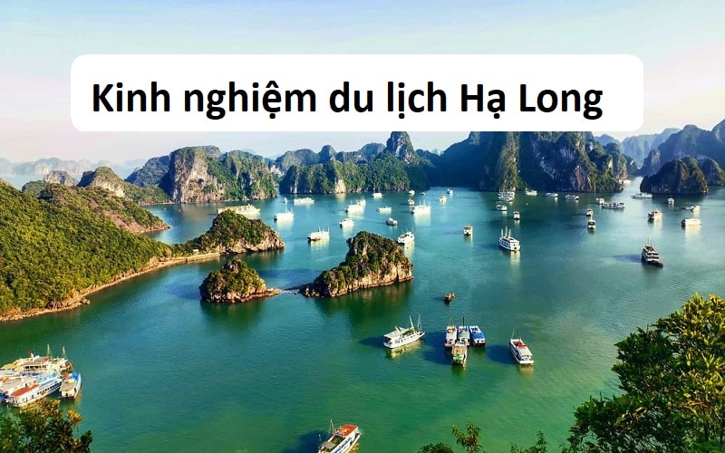 [🌏🇻🇳] Kinh nghiệm du lịch Hội An tự túc 2023 đầy đủ không thiếu gì