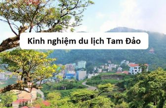 [🌏🇻🇳] Kinh nghiệm du lịch Tam Đảo vui chơi thả ga, không lo về giá
