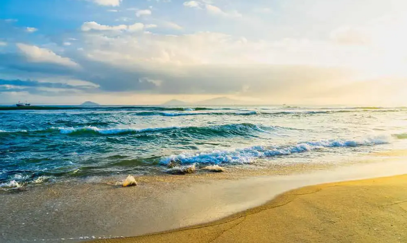 [🆕🇻🇳] 1994 Studio – Cung cấp sỉ lẻ áo thun contton 👕 Top1Fashion 👗  Hàng QC đẹp chất
, shares-0✔️ , likes-2❤️️ , date-2023-06-13 10:23:30🇻🇳🇻🇳🇻🇳📰🆕