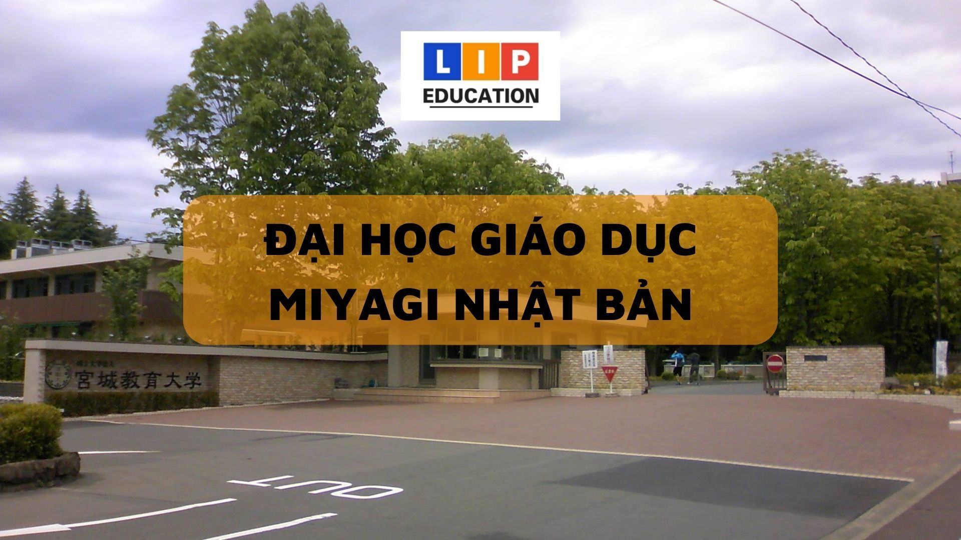 [🆕🇻🇳] Yoga Vipassana – Phòng tập yoga – Yoga Quan Sát Hơi Thở 🧘 Top1Yoga 🤸🏻‍♀️ KHOÁ CVG MTH71 HÀ NỘI   #TRẢI_CƠ_MTH
Chúc mừng 20/23 học viên xuất sắc đã vượt qua được kì thi của Khoá MTH71 – Chuyên đề “Đau Cổ Vai Gáy” – Hà Nội  Chúc n , shares-0✔️ , likes-0❤️️ , date-2023-06-30 05:57:17🇻🇳🇻🇳🇻🇳📰🆕