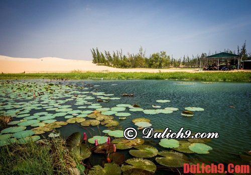 Hướng dẫn du lịch Phan Thiết tự túc trong 9 ngày nghỉ Tết