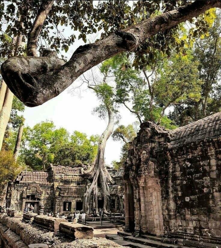 Kinh nghiệm du lịch Campuchia