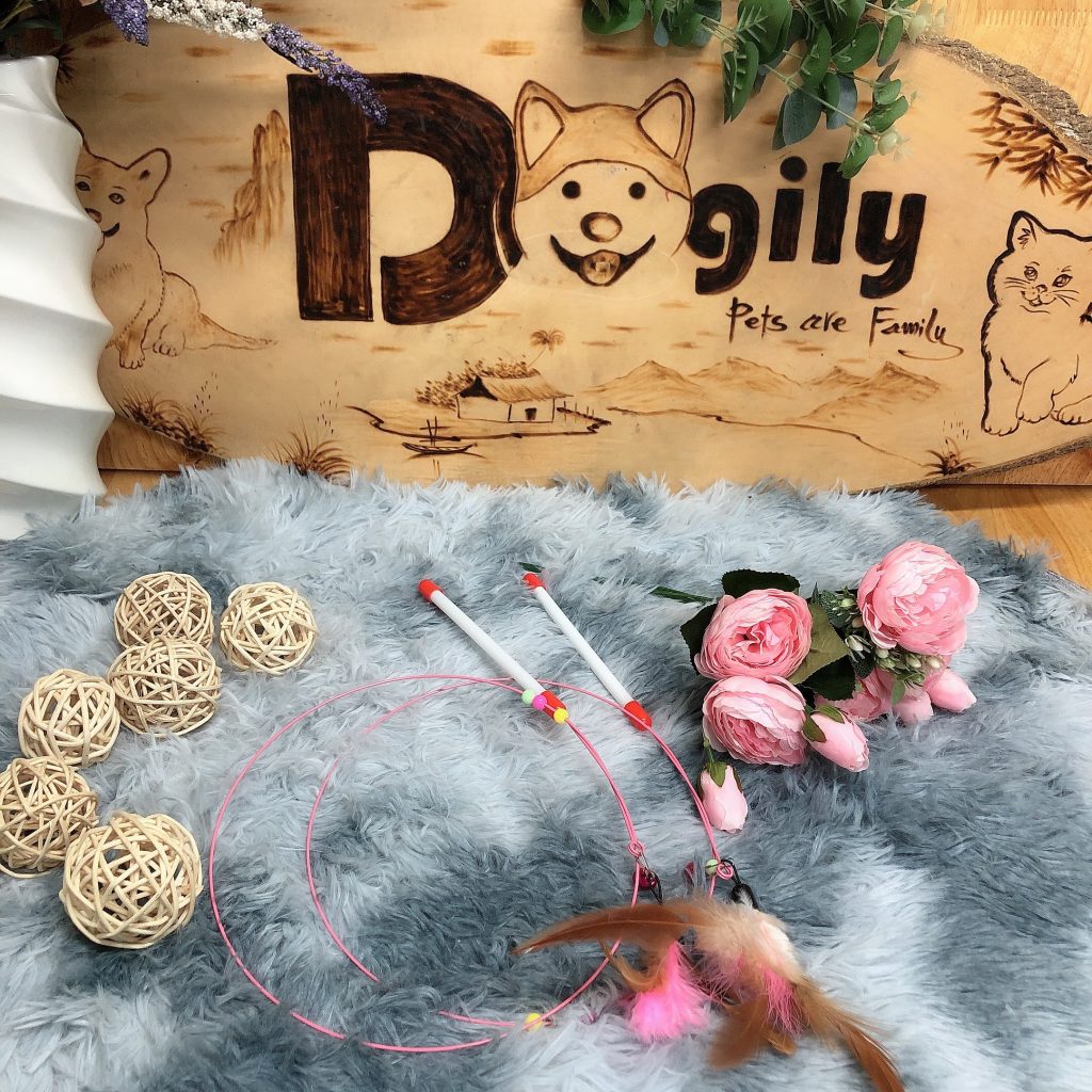 [🛒🇻🇳]Cửa hàng bán đồ chơi cho mèo giá rẻ. Mua các loại đồ cho mèo – , SKU – – dogily.vn 🇻🇳🛒Top1Shop🛒 🇻🇳Top1Vietnam🇻🇳 🛍🛒🇻🇳