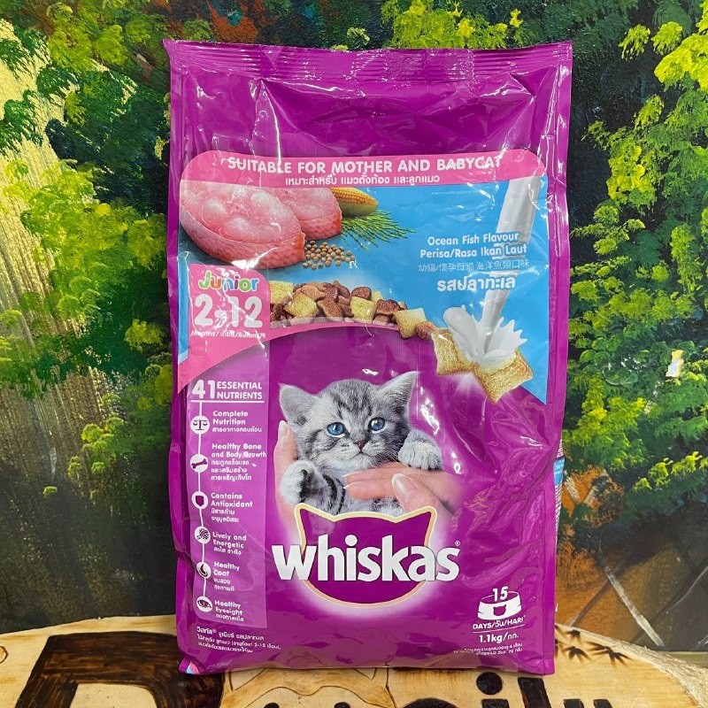 [🛒🇻🇳]Hạt cho mèo giá rẻ – Mua cám hạt thức ăn cho mèo gần đây – , SKU – – dogily.vn 🇻🇳🛒Top1Shop🛒 🇻🇳Top1Vietnam🇻🇳 🛍🛒🇻🇳