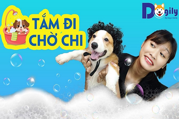 [🛒🇻🇳]Dịch vụ tắm chó mèo tại nhà giá rẻ Tphcm Hà nội gần đây nhất – , SKU – – dogily.vn 🇻🇳🛒Top1Shop🛒 🇻🇳Top1Vietnam🇻🇳 🛍🛒🇻🇳