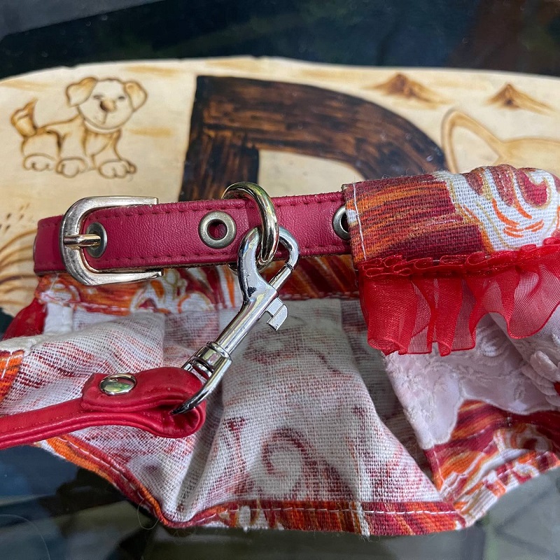 [🛒🇻🇳]Vòng cổ chó đẹp. Mua vòng đeo cổ chó, vòng cổ cho cún giá rẻ – , SKU – – dogily.vn 🇻🇳🛒Top1Shop🛒 🇻🇳Top1Vietnam🇻🇳 🛍🛒🇻🇳