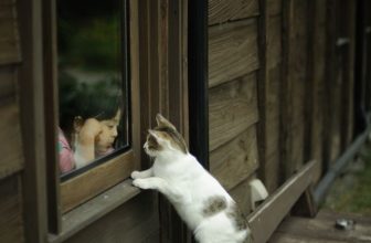 [☕️🇻🇳] 15.22 café – wine – live music 🥤 Top1Coffee ☕️ 𝐷𝑢̛𝑜̛̀𝑛𝑔 𝑛ℎ𝑢̛,
𝐾ℎ𝑖 𝑐𝑜̀𝑛 𝑡𝑟𝑒̉ 𝑐𝑜𝑛 & 𝑙𝑢́𝑐 𝑣𝑒̂̀ 𝑔𝑖𝑎̀, 𝑛𝑔𝑢̛𝑜̛̀𝑖 𝑡𝑎 𝑙𝑎̀𝑚 𝑛ℎ𝑢̛̃𝑛𝑔 𝑣𝑖𝑒̣̂𝑐 𝑔𝑖𝑜̂́𝑛𝑔 𝑛ℎ𝑎𝑢.
𝐕𝐚̣̂𝐲 𝐭𝐡𝐢̀, 𝐠𝐢𝐮̛̃𝐚 𝐪𝐮𝐚̃𝐧𝐠 , shares-1✔️ , likes-72❤️️ , date-2021-09-27 03:55:14🇻🇳🇻🇳🇻🇳📰🆕