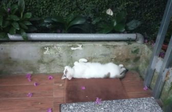 [☕️🇻🇳] TuTuCoffee Ninh Bình 🥤 Top1Coffee ☕️ Có ai đã ngồi ở ghế này chưa?, shares-0✔️ , likes-7❤️️ , date-2021-11-14 08:30:05🇻🇳🇻🇳🇻🇳📰🆕