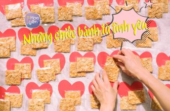 [☕️🇻🇳] 15.22 café – wine – live music 🥤 Top1Coffee ☕️ 𝗧𝗨́𝗜 𝟬,𝟱𝗞𝗚 – 𝗔̆𝗡 𝗖𝗛𝗢 Đ𝗔̃ 𝗖𝗔́𝗜 𝗧𝗛𝗘̀𝗠 𝐶𝑢𝑛𝑔 𝑐𝑎̂́𝑝 𝑏𝑢̛̃𝑎 𝑎̆𝑛 𝑝ℎ𝑢̣ đ𝑢̉ 𝑑𝑢̛𝑜̛̃𝑛𝑔 𝑐ℎ𝑎̂́𝑡.
𝑀𝑜́𝑛 𝑎̆𝑛 𝑣𝑎̣̆𝑡, 𝑎̆𝑛 𝑘𝑖𝑒̂𝑛𝑔 𝑡ℎ𝑜̛𝑚 𝑛𝑔𝑜𝑛 𝑏𝑜̂̉ 𝑑𝑢 , shares-3✔️ , likes-56❤️️ , date-2021-12-27 05:21:31🇻🇳🇻🇳🇻🇳📰🆕