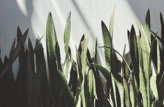 [☕️🇻🇳] 4 ĐỒNG 5 🥤 Top1Coffee ☕️ Dù rất buồn nhưng cũng phải chấp hành quy định vì sự an toàn của cộng đồng. Bắt đầu từ ngày 02/03/2022 4 Đồng 5 sẽ chỉ bán mang  , shares-1✔️ , likes-24❤️️ , date-2022-03-01 13:19:33🇻🇳🇻🇳🇻🇳📰🆕