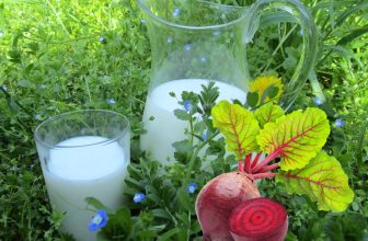 [☕️🇻🇳] Iokkoi Coffee – Zen Garden 🥤 Top1Coffee ☕️ 𝙄𝙤𝙠𝙠𝙤𝙞 𝘾𝙤𝙛𝙛𝙚𝙚 – 𝙕𝙚𝙣 𝙂𝙖𝙧𝙙𝙚𝙣Thức uống thần kì giúp chống lão hóa da?(Beetroot Latte)Bến Tre mình đố ai tìm thấy món beetroot , shares-0✔️ , likes-7❤️️ , date-2022-08-20 02:13:17🇻🇳🇻🇳🇻🇳📰🆕