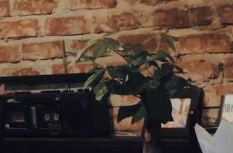 [☕️🇻🇳] Tháng 10 – October coffee – studio   🥤 Top1Coffee ☕️
Không biết mình vui hay buồn, hay đang chờ đợi điều gì giống như đang mắc kẹt trong một mớ hỗn độn.., shares-0✔️ , likes-9❤️️ , date-2022-09-23 12:56:58🇻🇳🇻🇳🇻🇳📰🆕