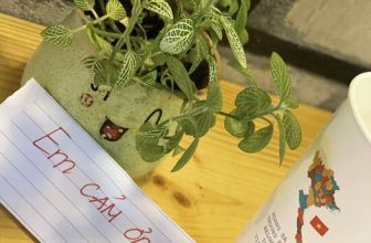 [☕️🇻🇳] 4 ĐỒNG 5 🥤 Top1Coffee ☕️ Thank you for the little things, shares-1✔️ , likes-14❤️️ , date-2022-09-29 12:47:25🇻🇳🇻🇳🇻🇳📰🆕