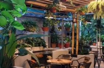 [☕️🇻🇳] TuTuCoffee Ninh Bình 🥤 Top1Coffee ☕️ Ở đây có bán bình yên., shares-0✔️ , likes-36❤️️ , date-2022-10-18 03:39:34🇻🇳🇻🇳🇻🇳📰🆕