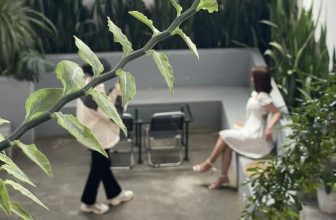 [☕️🇻🇳] 4 ĐỒNG 5 🥤 Top1Coffee ☕️ Ｓａｔｕｒｄａｙ
·, shares-1✔️ , likes-31❤️️ , date-2022-10-15 12:00:00🇻🇳🇻🇳🇻🇳📰🆕