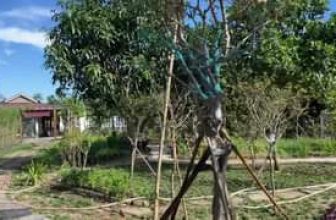 [☕️🇻🇳] Gia Cát Coffee – Cung cấp cây cảnh, nhận sét up cây cảnh cho quán cafe 🥤 Top1Coffee ☕️ Hỗ trợ khách hàng lắp máy và chạy thử
GIA CÁT COFFEE – GIẢI PHÁP TOÀN DIỆN CHO MỌI Ý TƯỞNG KINH DOANH  Tư vấn mở quán từ thiết , shares-0✔️ , likes-11❤️️ , date-2022-11-27 01:54:32🇻🇳🇻🇳🇻🇳📰🆕