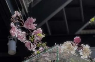 [☕️🇻🇳] 4 ĐỒNG 5 🥤 Top1Coffee ☕️ 𝐇𝐞𝐥𝐥𝐨 𝐃𝐞𝐜𝐞𝐦𝐛𝐞𝐫
#caphemuoi #olong #coffee #pleiku #quancaphepleiku #trasua, shares-0✔️ , likes-8❤️️ , date-2022-12-01 05:03:44🇻🇳🇻🇳🇻🇳📰🆕