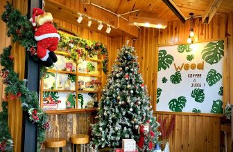 [☕️🇻🇳] 15.22 café – wine – live music 🥤 Top1Coffee ☕️ Noel là để uống trà
Đèn đường để ngắm,Wood là để yêu ———— WOOD COFFEE & JUICE ———
02 Thuỷ Xưởng – Phương Sơn  – Nha , shares-1✔️ , likes-32❤️️ , date-2022-12-10 09:29:07🇻🇳🇻🇳🇻🇳📰🆕