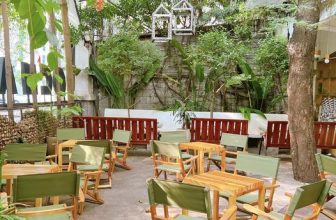 [☕️🇻🇳] Ochata Coffee  🥤 Top1Coffee ☕️ Cà phê sáng đê !  Rầu của Photographer
Sáng ngồi canh me từ 7h đến hơn 9h mới có vệt nắng nhẹ xuyên qua kẽ lá để cho lên hình  , shares-3✔️ , likes-17❤️️ , date-2022-12-16 02:57:59🇻🇳🇻🇳🇻🇳📰🆕