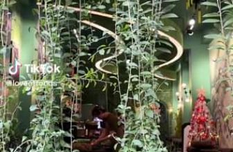 [☕️🇻🇳] r ê u . coffee 🥤 Top1Coffee ☕️  : r ê u . coffee : 46 Trịnh Văn Cấn, Cầu Ông Lãnh, Quận 1, HCM : 0879.46.66.46 : 07h00 sáng – 01h00 sáng#coffee #review #foodst , shares-0✔️ , likes-0❤️️ , date-2023-03-01 13:31:48🇻🇳🇻🇳🇻🇳📰🆕