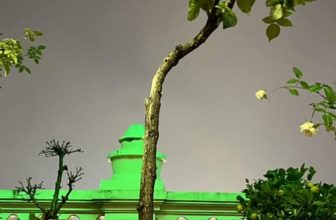 [☕️🇻🇳] Paris Coffee 🥤 Top1Coffee ☕️ Viết lên trời mưa, shares-1✔️ , likes-5❤️️ , date-2023-01-12 02:02:15🇻🇳🇻🇳🇻🇳📰🆕