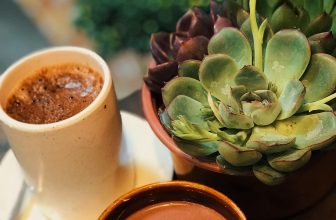 [☕️🇻🇳] 22 phẩy 5 coffee 🥤 Top1Coffee ☕️  Xuân sang, cành lá đâm chồi
Cảnh sắc ngày Tết, đẹp tựa đào mai
_______ :Kiệt 33/H2/20 Nam Cao, Liên Chiểu, Đà Nẵng. #2 , shares-0✔️ , likes-63❤️️ , date-2023-01-08 02:57:43🇻🇳🇻🇳🇻🇳📰🆕