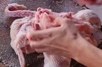 [☕️🇻🇳] Paris Coffee 🥤 Top1Coffee ☕️ LỌC XƯƠNG GÀCara buang tulang Ayam…semoga bermanfaat
·, shares-0✔️ , likes-0❤️️ , date-2023-02-05 05:01:39🇻🇳🇻🇳🇻🇳📰🆕