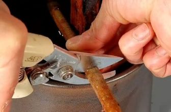 [☕️🇻🇳] Paris Coffee 🥤 Top1Coffee ☕️ Khéo taySự ồn ào của thế giới ngoài kia sẽ không dừng lại. Một số người chọn đi theo dòng chảy náo nhiệt, trong khi những ngườ , shares-0✔️ , likes-0❤️️ , date-2023-02-07 03:47:51🇻🇳🇻🇳🇻🇳📰🆕